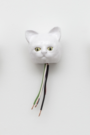 Celia Eberle, Automatic Cats (OCTO), 2020