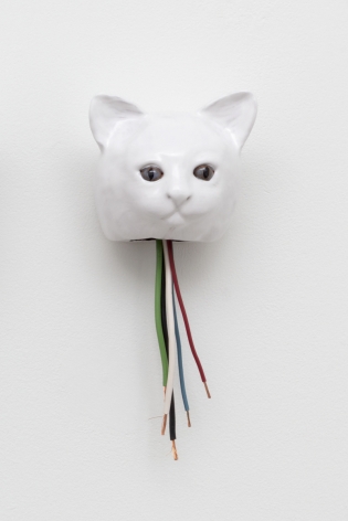Celia Eberle, Automatic Cats (COSMO), 2020