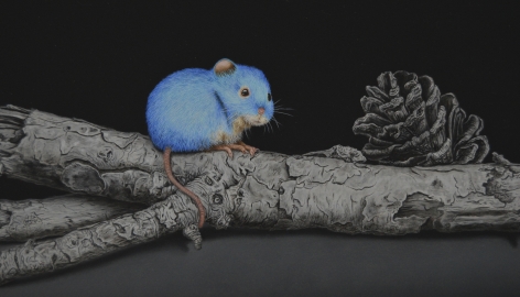 Isabelle du Toit, Blue Wood Mouse (detail), 2020