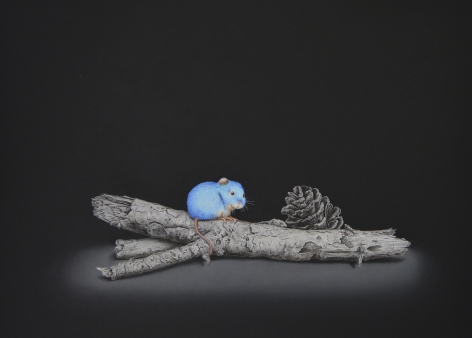 Isabelle du Toit, Blue Wood Mouse, 2020
