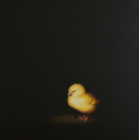 Isabelle du Toit, Chick I, 2011